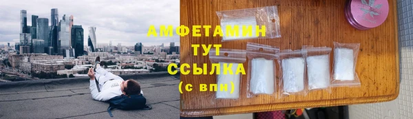 мяу мяу мука Аркадак