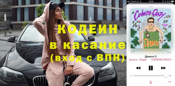 крисы Армянск